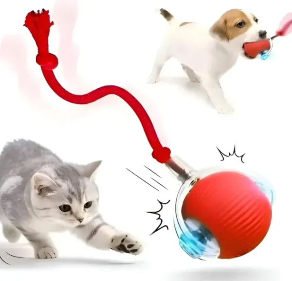 Bola Elétrica Rolante De Brinquedo Inteligente Para Gatos E CAES