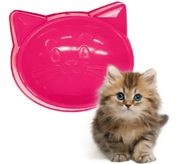 Alternative view of COMEDOURO GATO