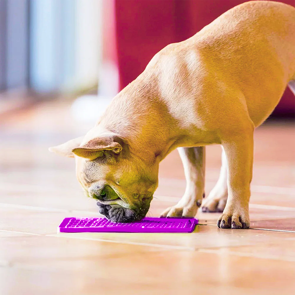 Brinquedo e comedouro anti estresse LickiMat Buddy roxo para cães e gatos - Imagem 3