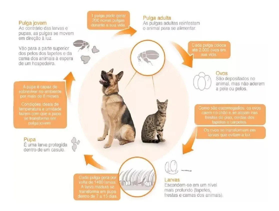 Antipulgas Revolution ,Cães 120mg 10,1 A 20kg - Imagem 3