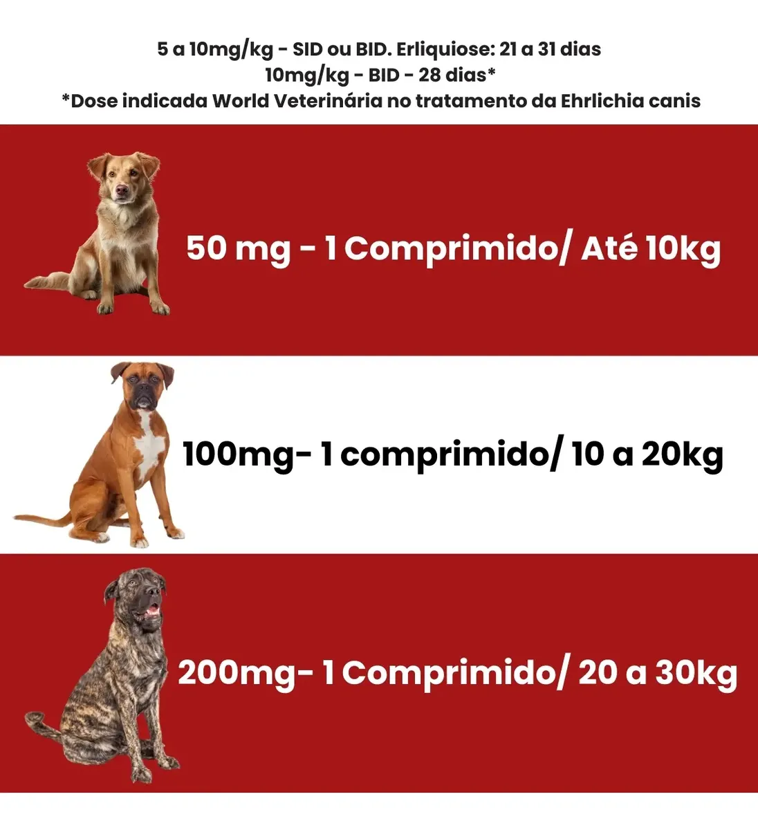 Antibiótico Doxinew 50mg Para Cães E Gatos 14 Comprimidos - Imagem 3