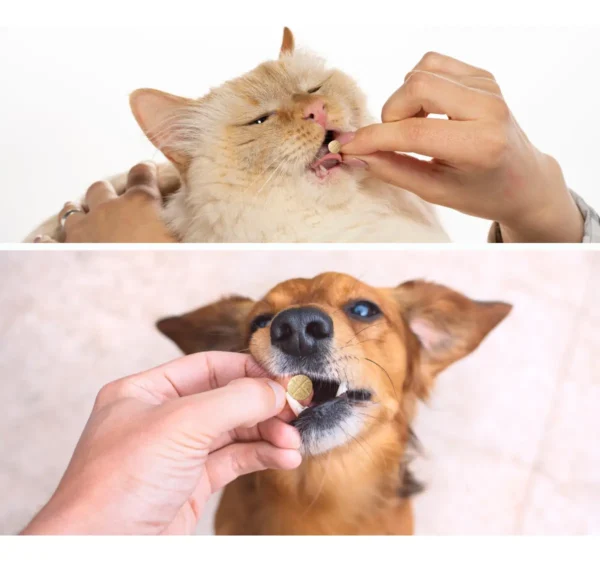 Alternative view of Doxinew Cães Gatos Blister C/ 14  Comprimidos World 100mg