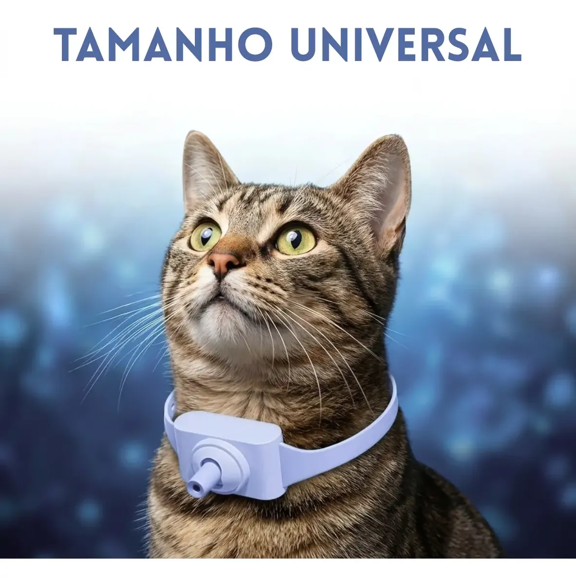 Coleira P/ Gatos Anti Stress Smart Lazer Azul Menos Estresse - Imagem 2