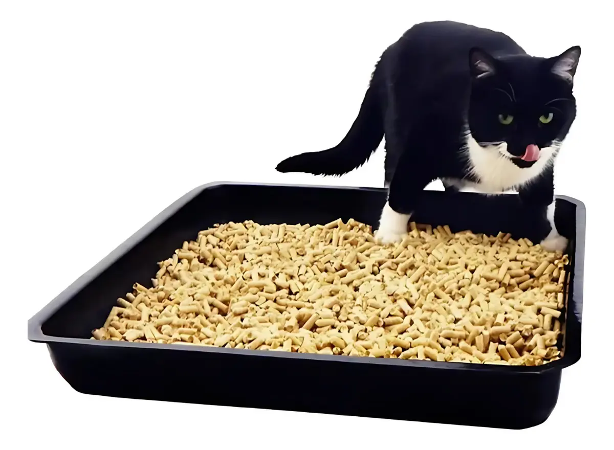 Granulado Higiênico De Madeira Para Gatos Premium 2KG - Imagem 2