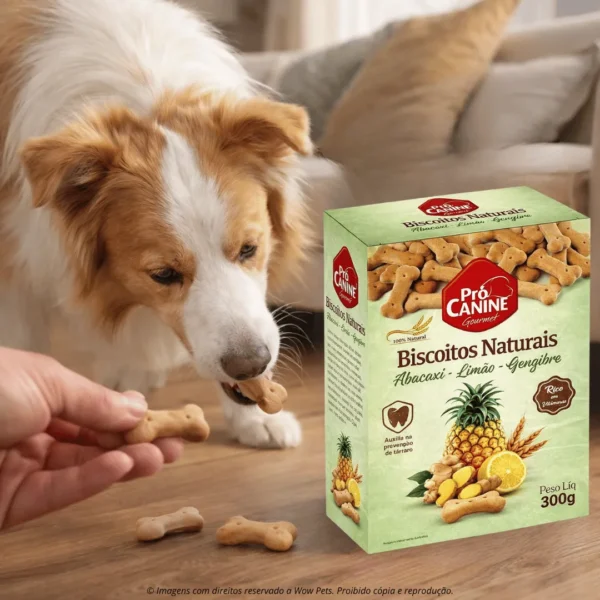 Alternative view of Petisco Biscoito Natural Prócanine Para Cães 300g