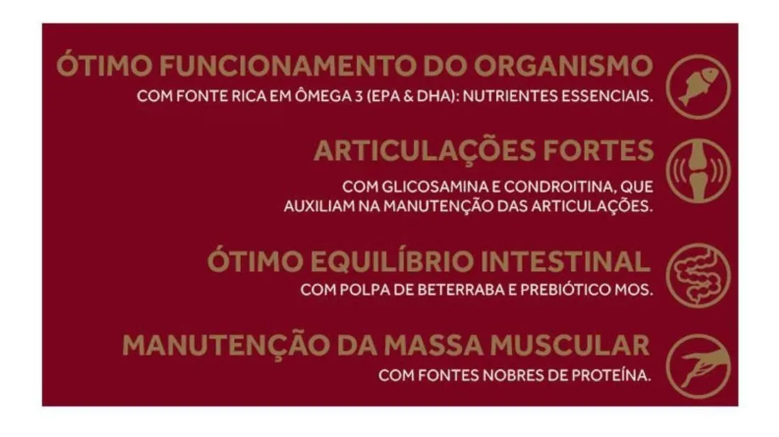 Ração Gran Plus Menu Cão Adulto Médio e Grande Carne & Arroz 15kg - Imagem 2