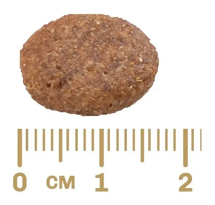 Ração Gran Plus Menu Cão Adulto Médio e Grande Carne & Arroz 15kg - Imagem 4