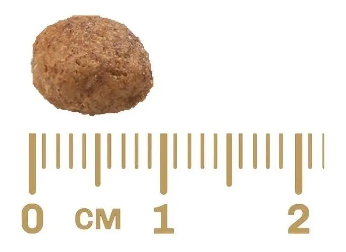 Ração Seca Gran Plus Menu Seca Filhote Cão Sabor Carne e Arroz 15kg - Imagem 4